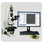 computer assisted semen analysis