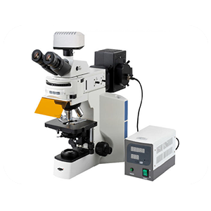 Fluorescent microscope